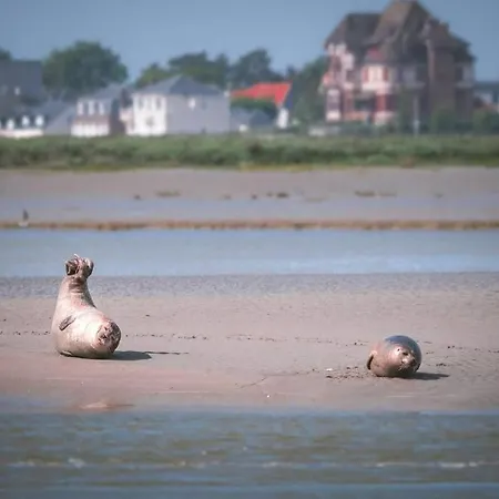 Familial Baie De Somme 8 Personnes Ferienhaus *